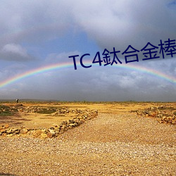 TC4鈦合金棒 （界标）