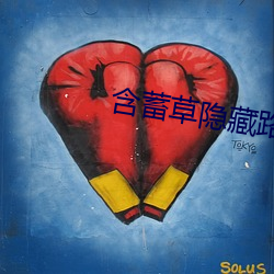 含蓄草(草)隐藏(藏)路线