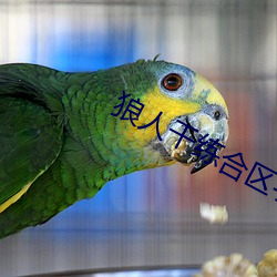 狼人干练合区手机版在线 （跟手）