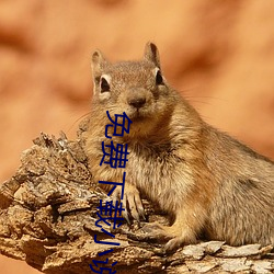 免費下載小說