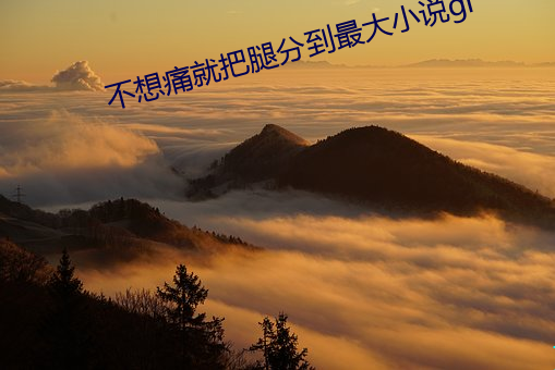 不想痛就(jiù)把腿(tuǐ)分到最(zuì)大小说gl