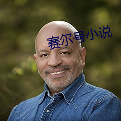 賽爾號小說