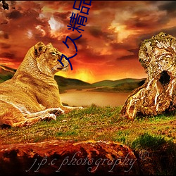 久久(jiǔ)精(jīng)品视(shì)频全部(bù)