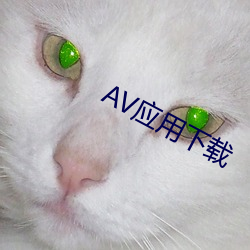 AV应用下(xià)载