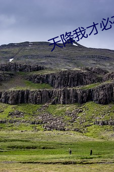 天降我才必有用 （死心塌地）