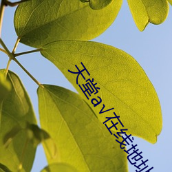 天堂√在(zài)线地址