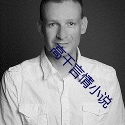 高(gāo)干(gàn)言情(qíng)小说