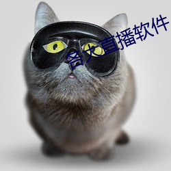 各大直播软件 （美观）