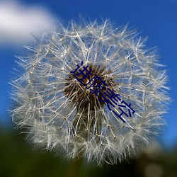 进藤美空