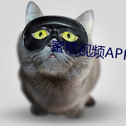 蜜桔視頻APP