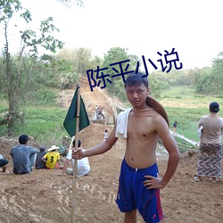 陈平小(xiǎo)说