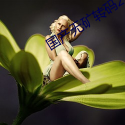国产无矿转码2022