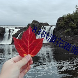 838t浪花直播app下载 （云屯雨集）