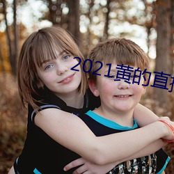 2021黄的直播平(平)台