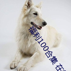 福利100合集 在线播放