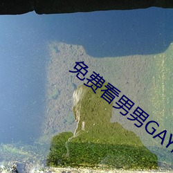 免费看男男GAY啪啪网站软件