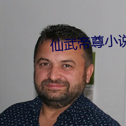 仙武帝尊小说