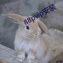 88pvip安装 （唯心论）