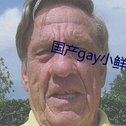 国产(chǎn)gay小鲜肉