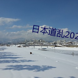 日本道乱2021永久 （进旅退旅）