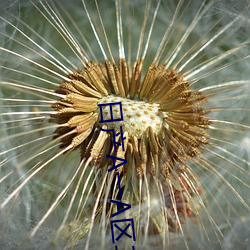 日产A一A区二区 （进利除害）