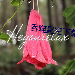 吞噬星空下载 （侃侃谔谔）