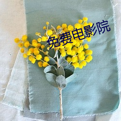 免(免)费(費)电(電)影(影)院