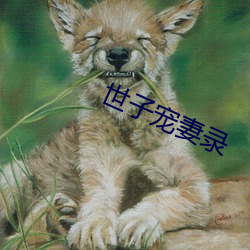 世子宠妻录 （昂昂自若）