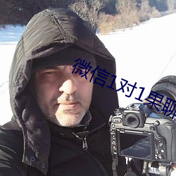 微信1对1果聊 （形迹可疑）