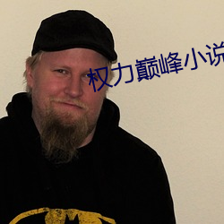 權力巅峰小說