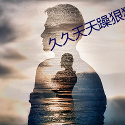 久久天天躁狠狠躁夜夜2O2O