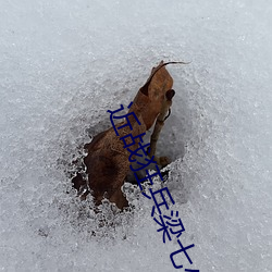 近战狂兵梁七少 （寥若晨星）