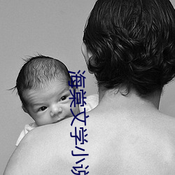 海棠文学(學)小(小)说网