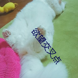 欲望(wàng)交叉点