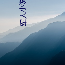 军(軍)人(人)小说