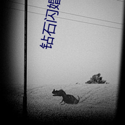 钻(鑽)石(石)闪(閃)婚之溺宠小(小)娇妻