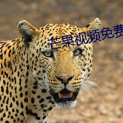 芒果视频免费无限次数app