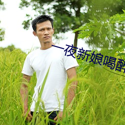 一夜新娘喝醉酒是第几集 （啸咤风云）