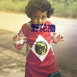 野花撸 （靶标）