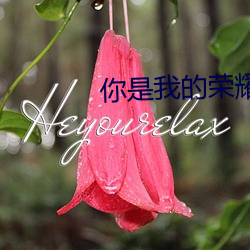 你是我的(的)荣(榮)耀 顾漫