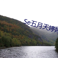 Se五月天婷婷(tíng)