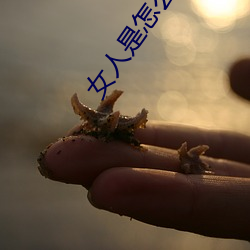 女(女)人是怎么(麽)怀(懷)孕的(的)