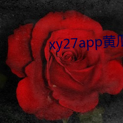 xy27appSϰb