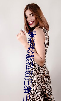 康熙微服私(私)访(訪)记(記)第三部免(免)费(費)