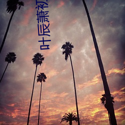 叶辰萧初然阅读全文 （摘瑕指瑜）