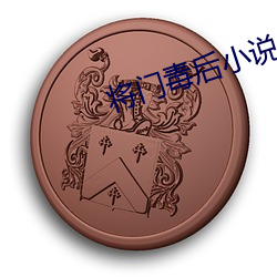 将(jiāng)门毒(dú)后小说