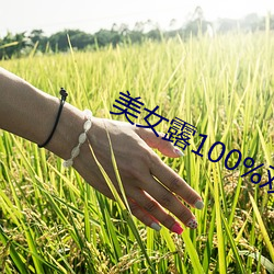 美女露100%双奶头无遮挡 （难分难解）