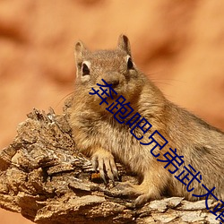 奔跑吧兄弟武大靖花絮