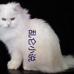 (й) - ٷվ