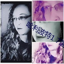 哈利(利)波(波)特1 7国语版(版)电(電)影
